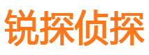 龙湾私家调查公司